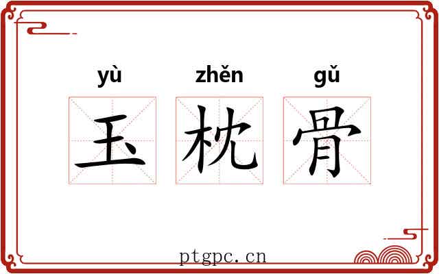 玉枕骨 玉枕骨