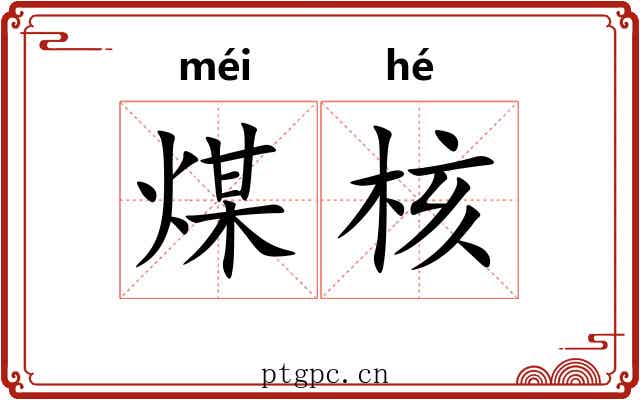 煤核 煤核