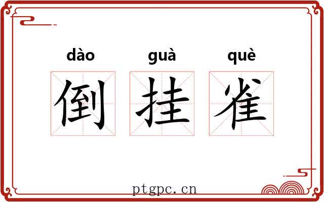 倒挂雀 倒挂雀