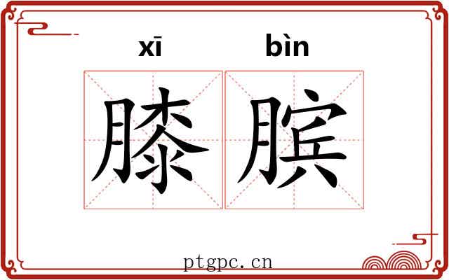膝膑