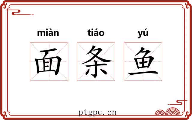 面条鱼 面条鱼
