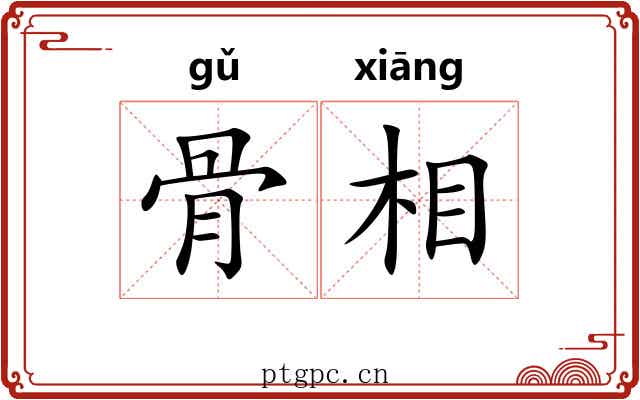 骨相 骨相