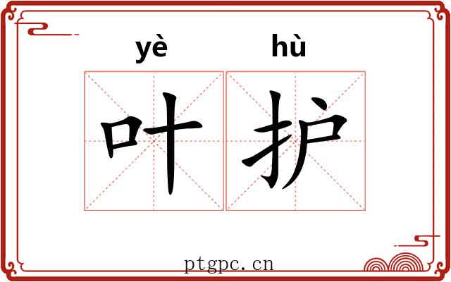 叶护