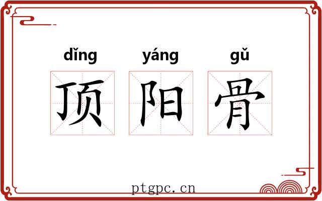 顶阳骨 顶阳骨