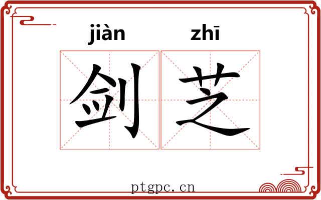 剑芝