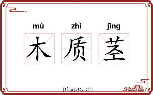 木质茎