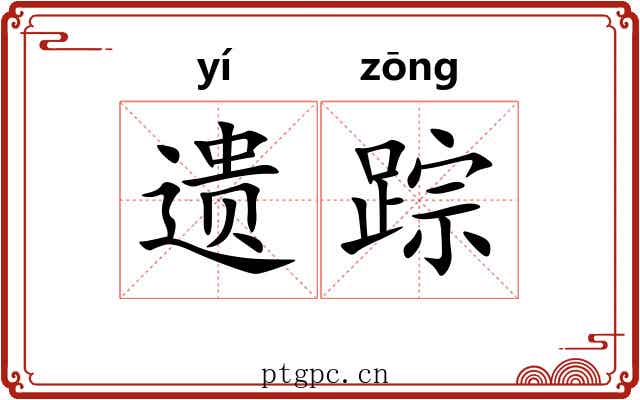 遗踪