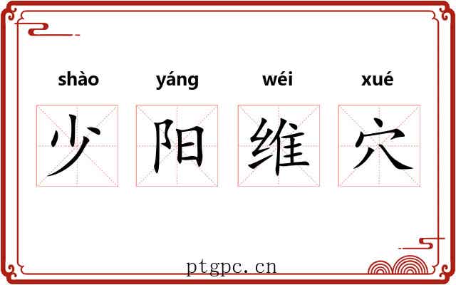 少阳维穴 少阳维穴