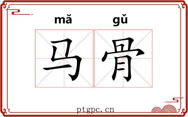马骨 马骨