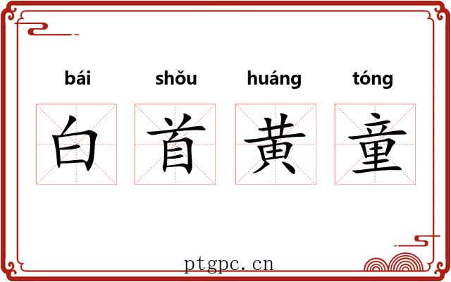 白首黄童