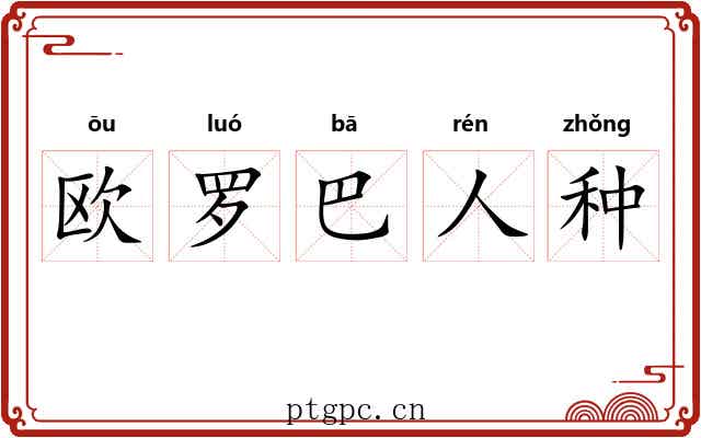 欧罗巴人种 欧罗巴人种