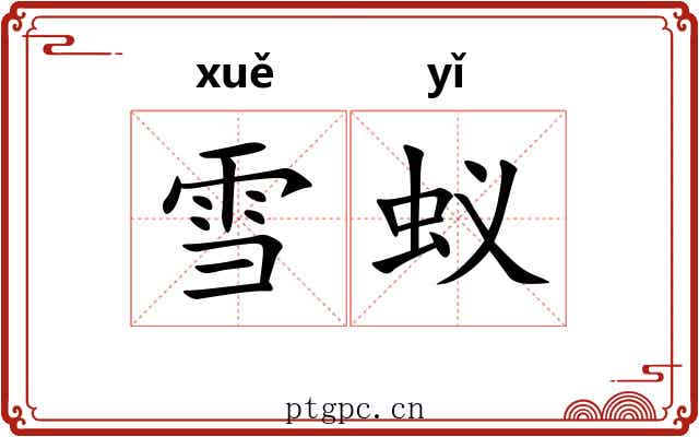 雪蚁