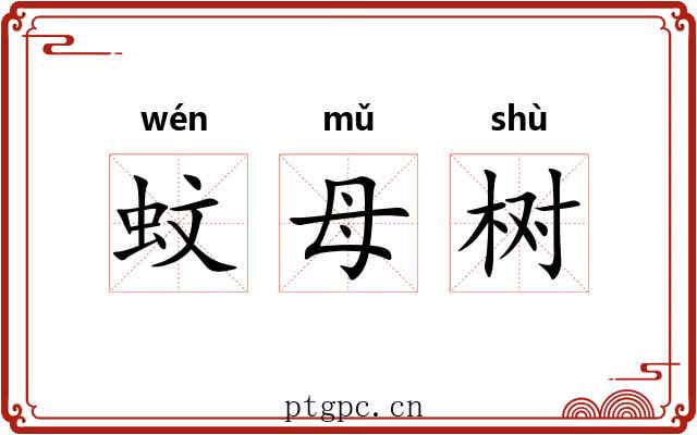 蚊母树