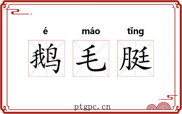鹅毛脡 鹅毛脡