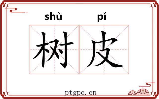 树皮