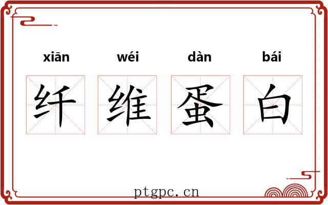 纤维蛋白 纤维蛋白