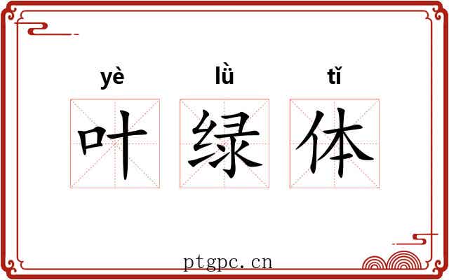 叶绿体 叶绿体