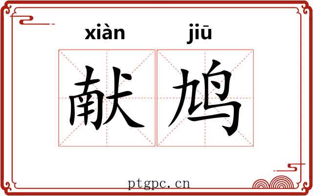 献鸠