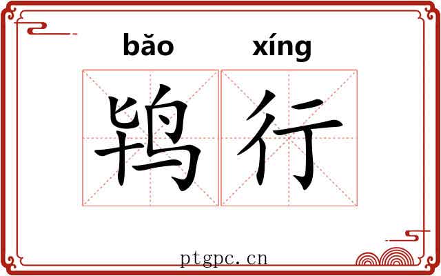 鸨行