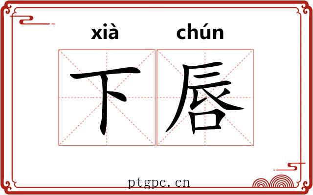 下唇 下唇