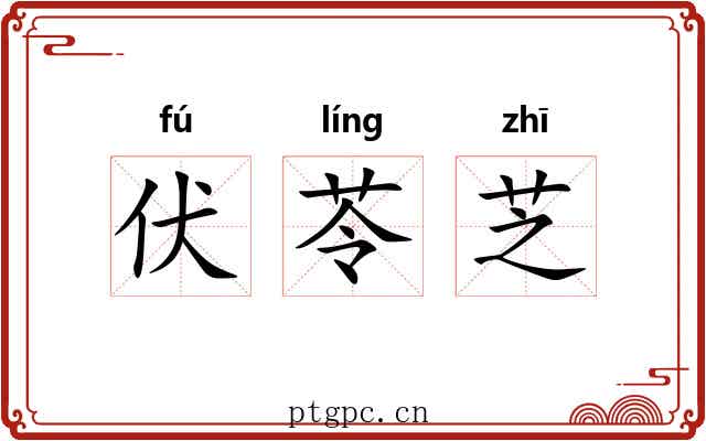 伏苓芝 伏苓芝