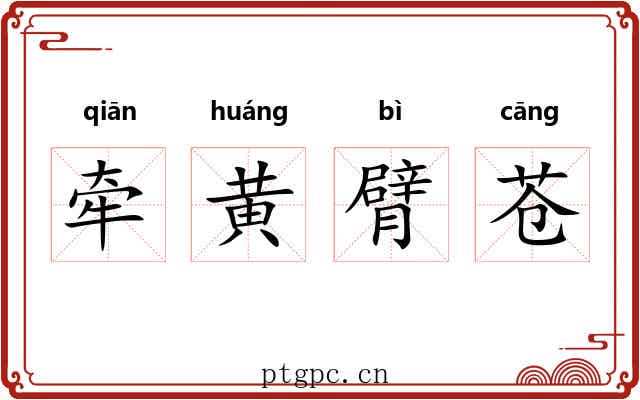 牵黄臂苍 牵黄臂苍