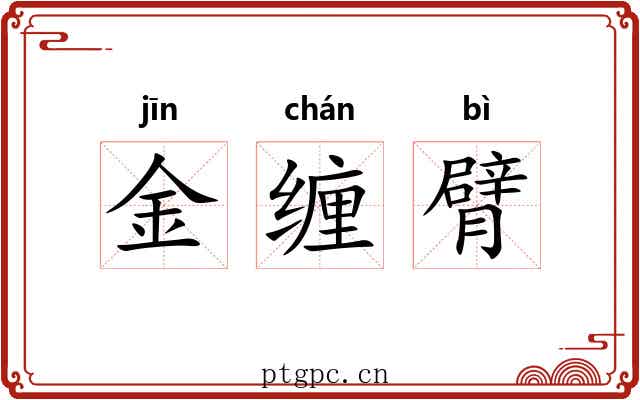 金缠臂 金缠臂