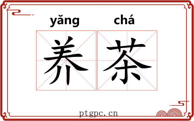 养茶 养茶