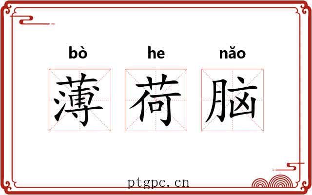 薄荷脑 薄荷脑