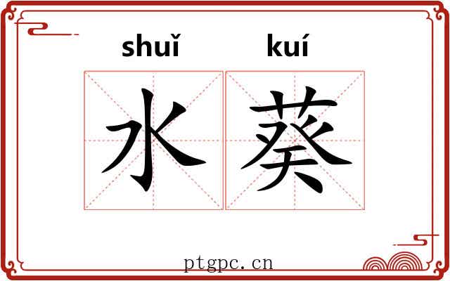 水葵 水葵