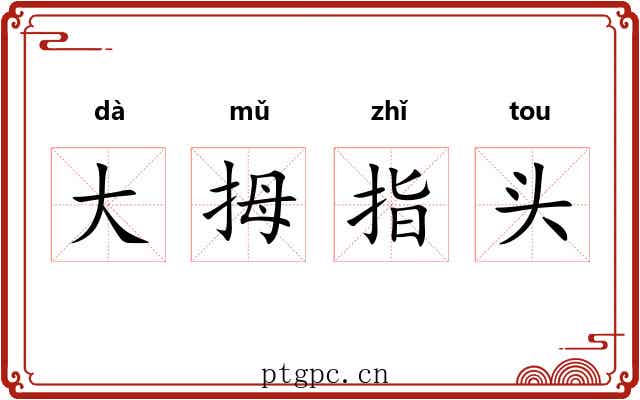 大拇指头