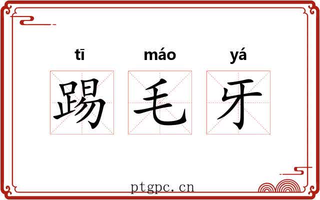 踢毛牙 踢毛牙