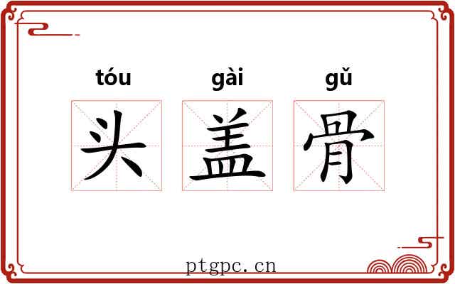 头盖骨 头盖骨