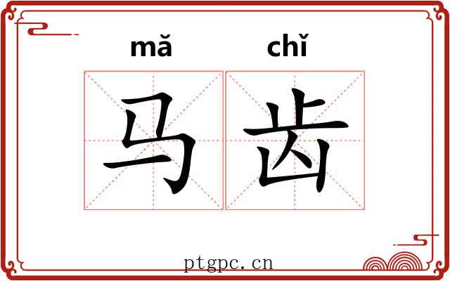 马齿