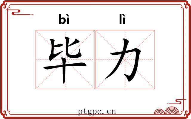 毕力