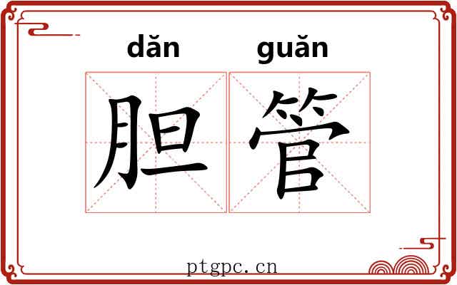胆管