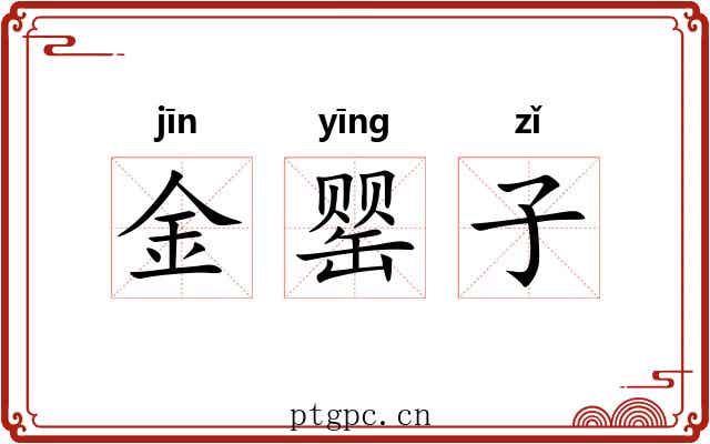 金罂子 金罂子