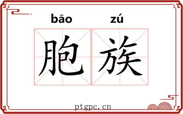 胞族 胞族