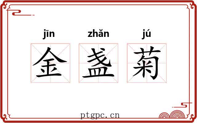 金盏菊 金盏菊