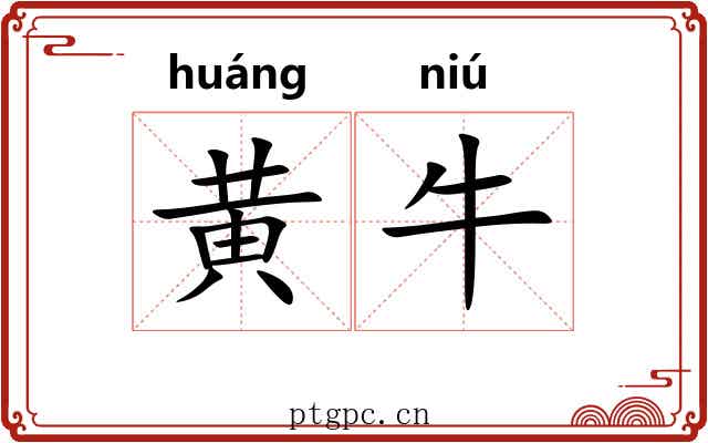 黄牛 黄牛