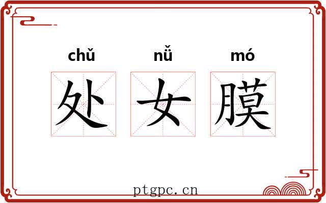 处女膜 处女膜