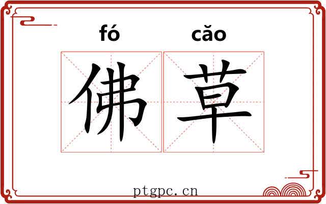 佛草 佛草