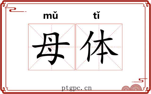 母体 母体