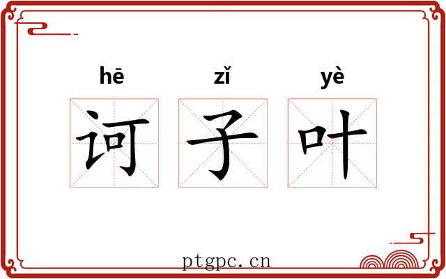 诃子叶 诃子叶