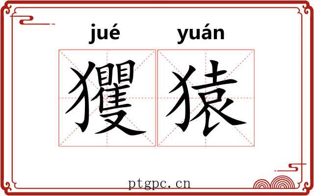 玃猿