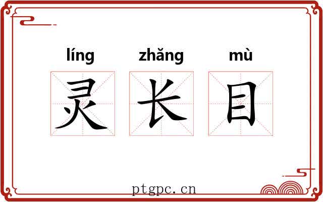 灵长目 灵长目