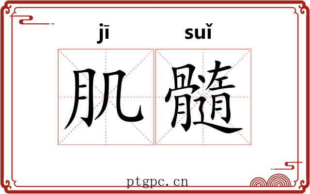 肌髓