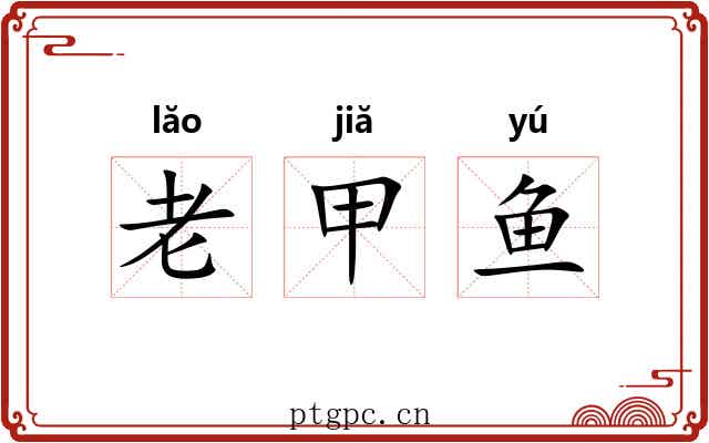 老甲鱼