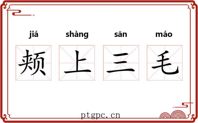 颊上三毛
