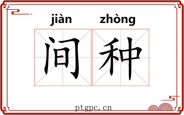 间种 间种